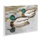 Stupell Industries Mallard Ducks Pair Wall Plaque Design by Stephanie Fielden